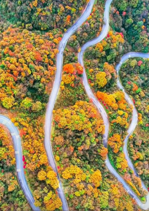 1761559796616381.png image.png