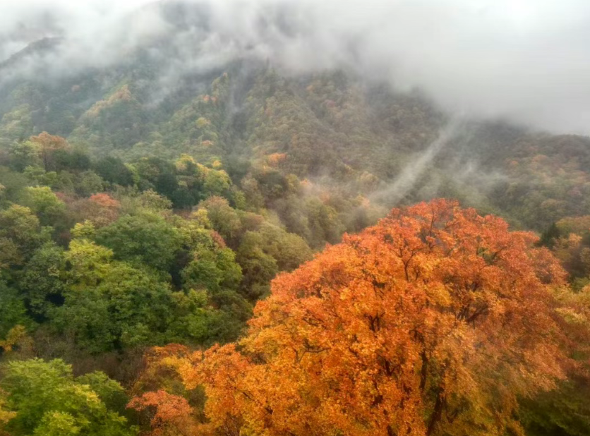 1761559805612455.png 1761559805612455.png