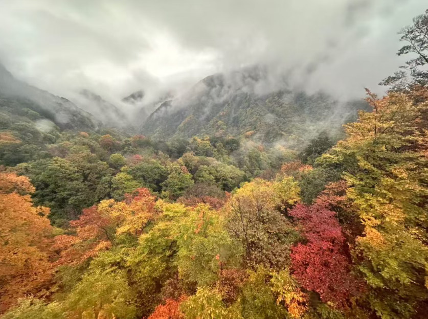 1761559820111964.png 1761559820111964.png