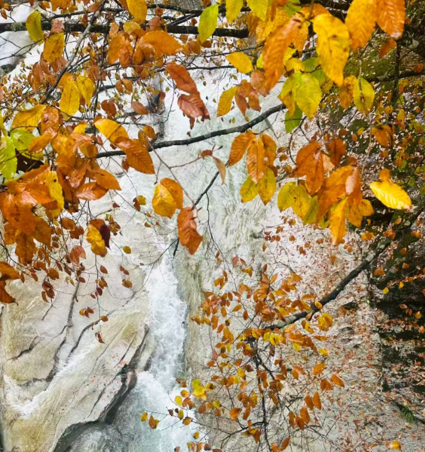 1761559840338001.png 1761559840338001.png