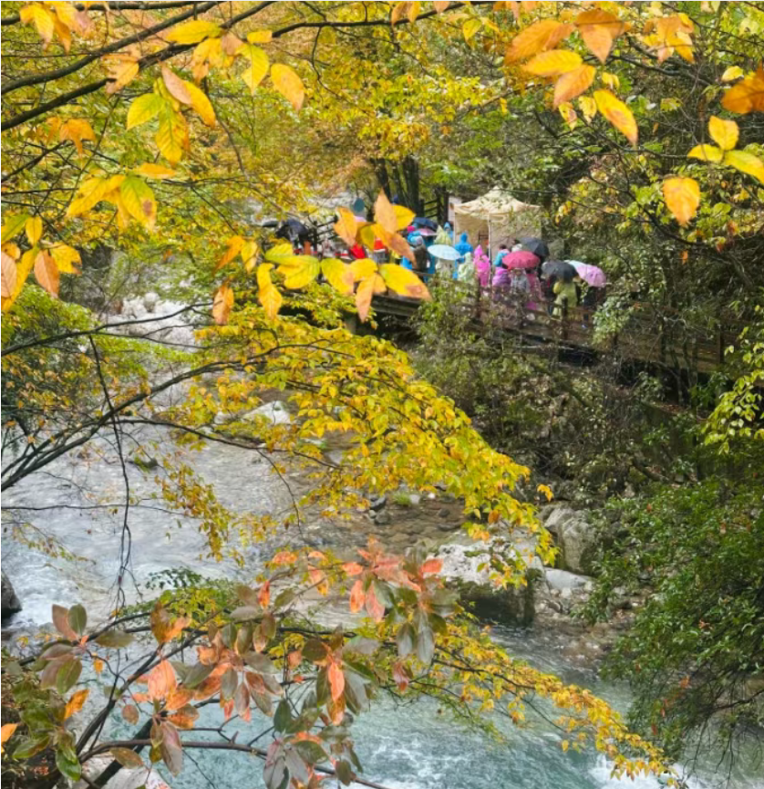 1761559863271986.png 1761559863271986.png