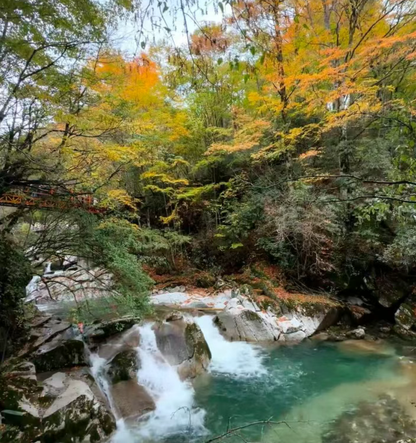 1761559885111055.png 1761559885111055.png