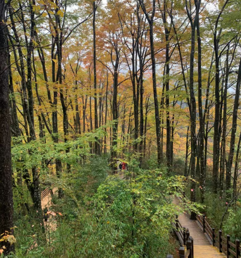 1761559921371846.png 1761559921371846.png